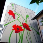 coquelicots wp