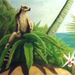 seychelles wp